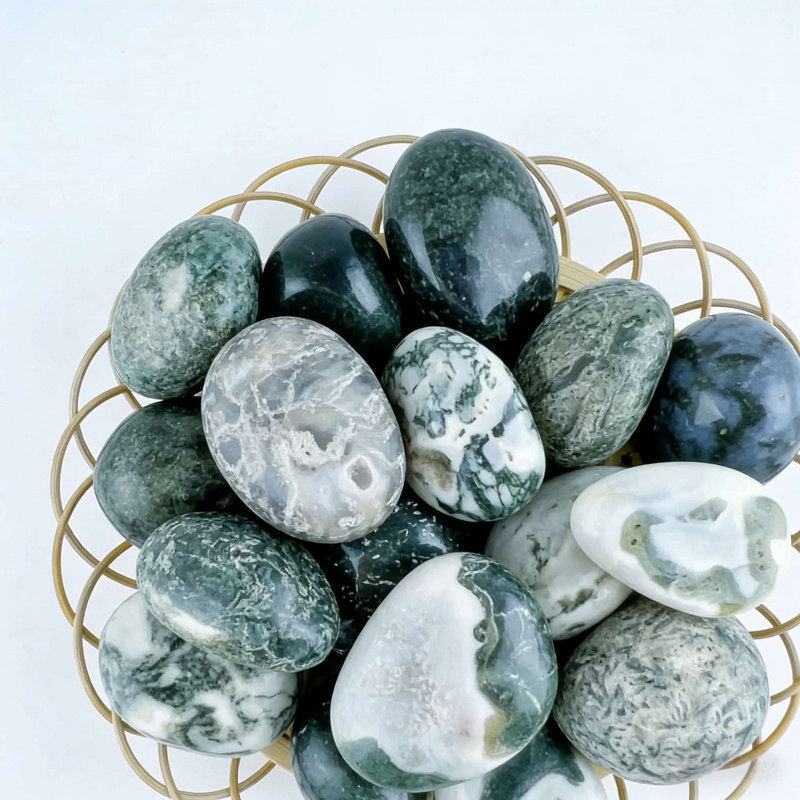 Natural Moss Agate Crushed Sto - Echeveria Succulent reseña y precio