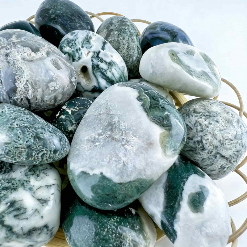 Natural Moss Agate Crushed Sto - Echeveria Succulent reseña y precio