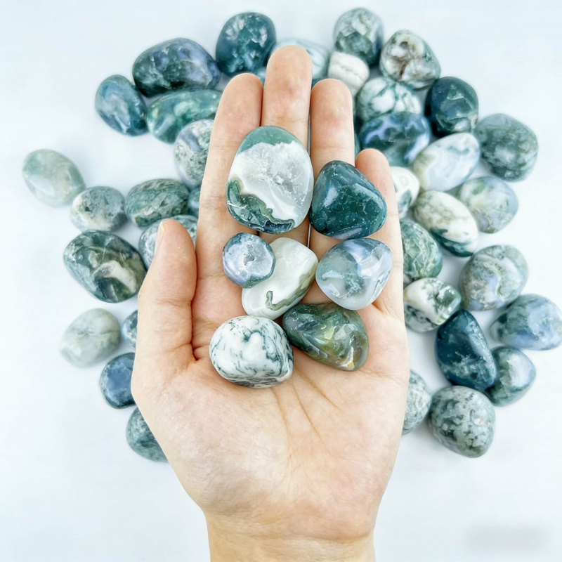 Natural Moss Agate Crushed Sto - Echeveria Succulent reseña y precio