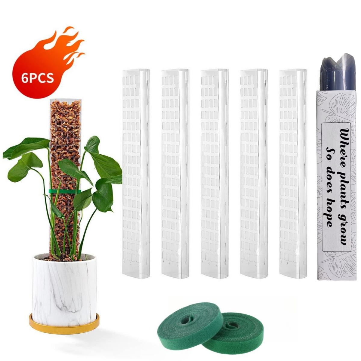 Moss Poles Plants Plant Suppor - Echeveria Succulent reseña y precio