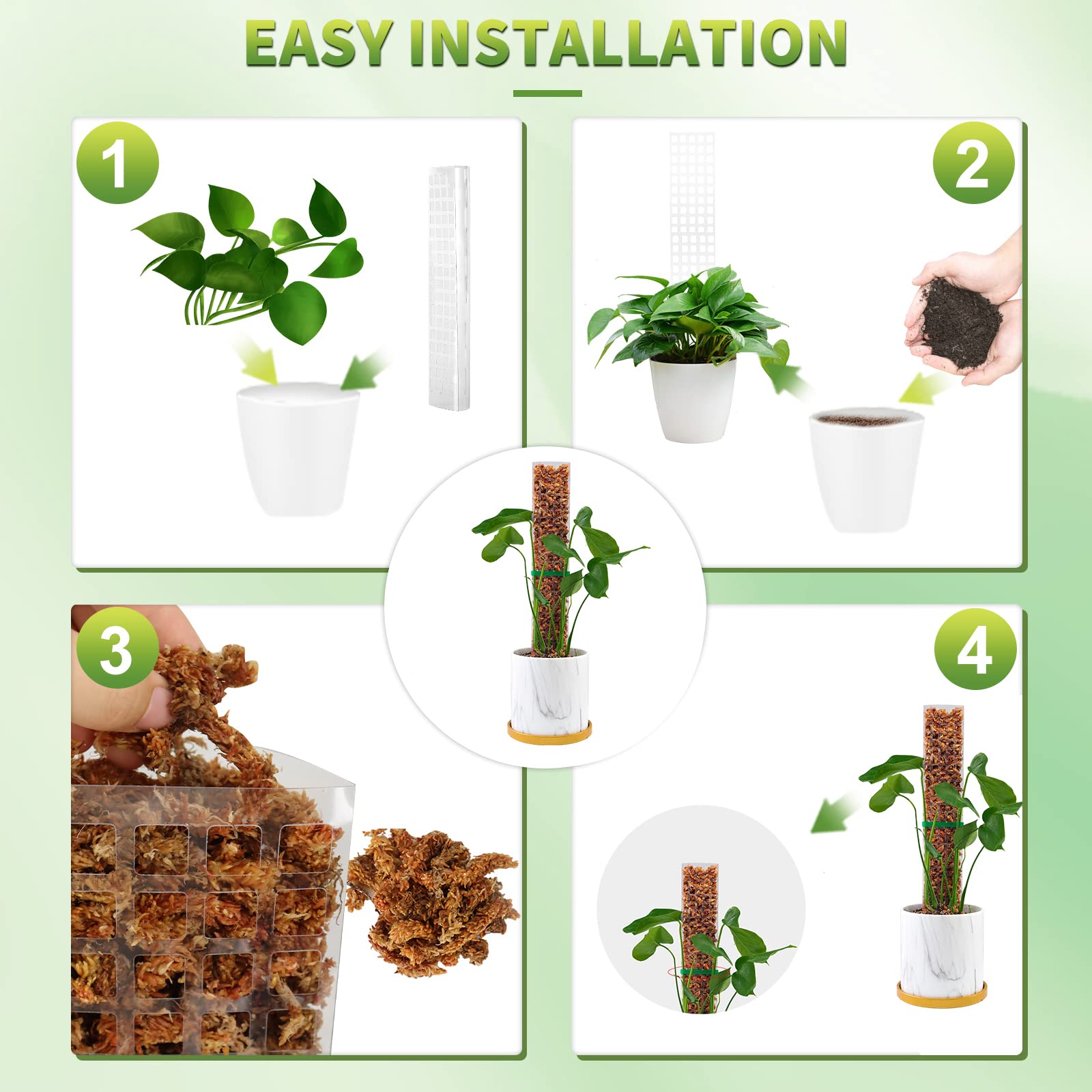 Moss Poles Plants Plant Suppor - Echeveria Succulent reseña y precio