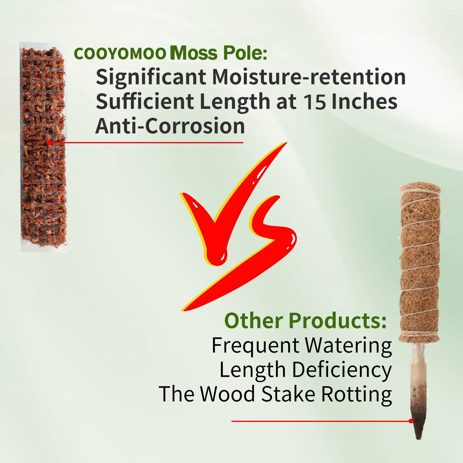 Moss Poles Plants Plant Suppor - Echeveria Succulent reseña y precio