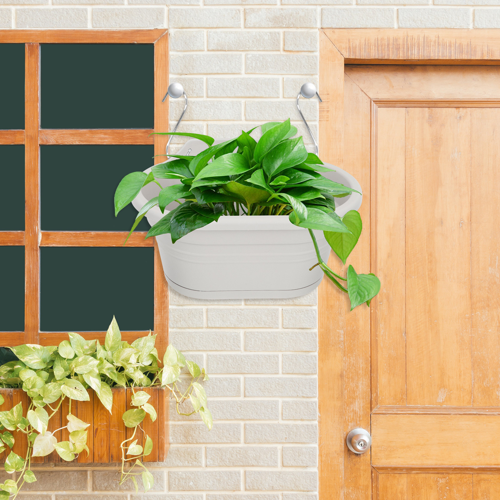 1Set Wall Hanging Flower Pot S - Spider Plant Hanging reseña y precio