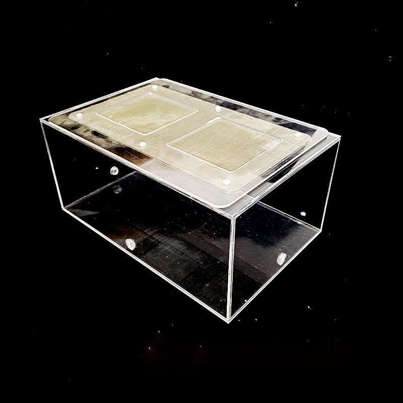 Acrylic Finished Seamless Ant  - Begonia Rex reseña y precio