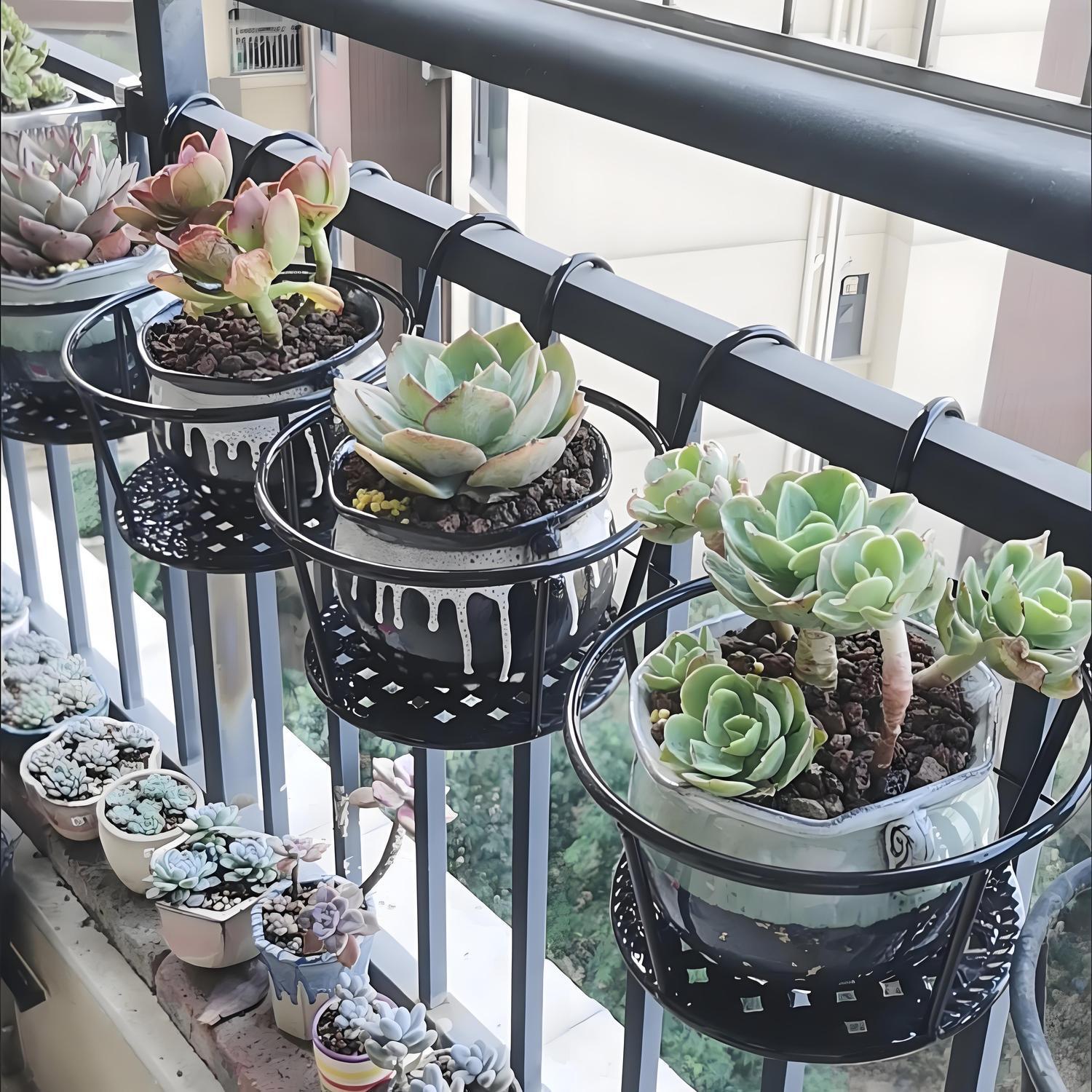 Wrought Iron Balcony Hanging F - Spider Plant Hanging reseña y precio