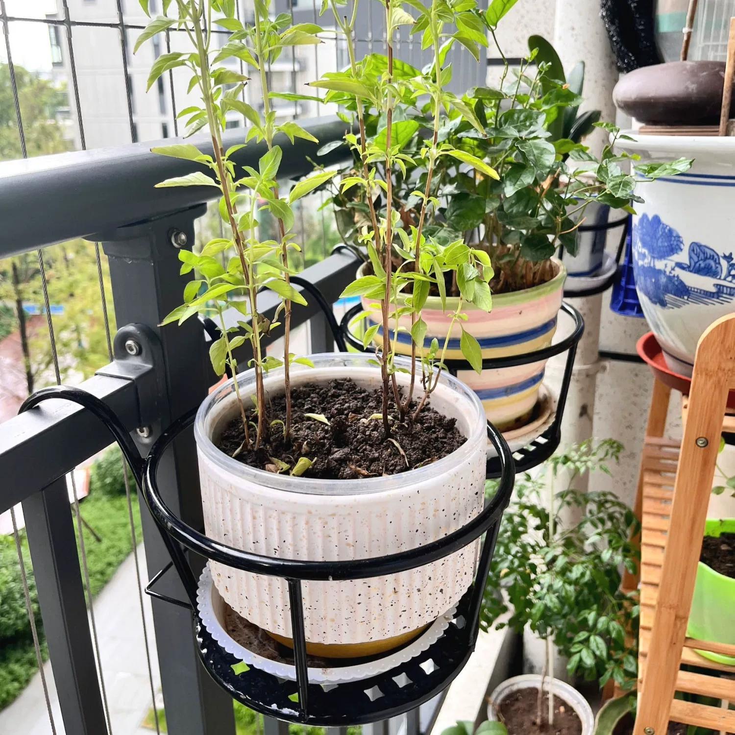 Wrought Iron Balcony Hanging F - Spider Plant Hanging reseña y precio