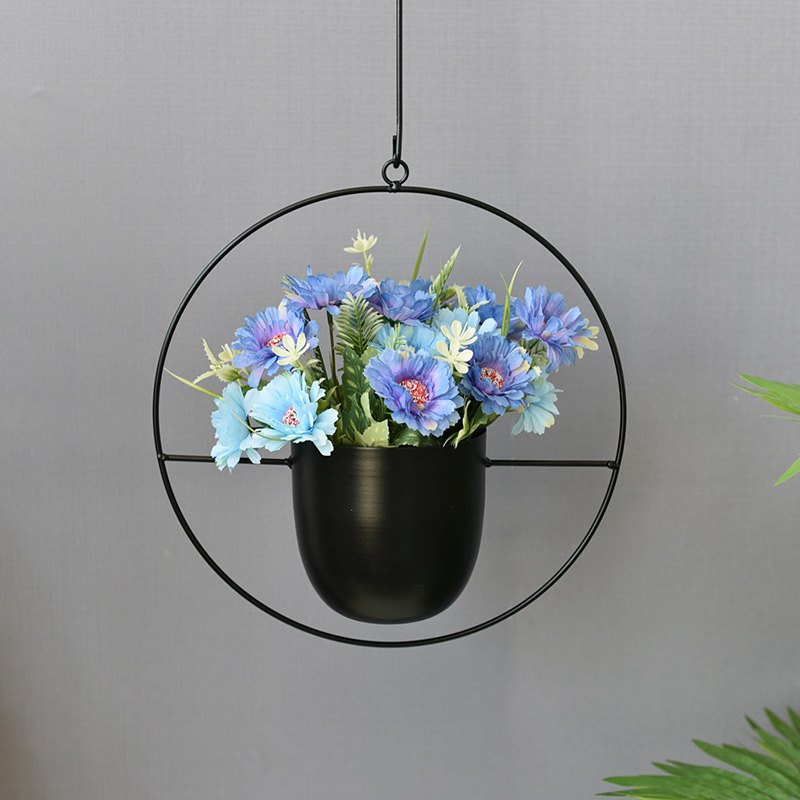 Wrought Iron Hanging Planter E - Spider Plant Hanging reseña y precio