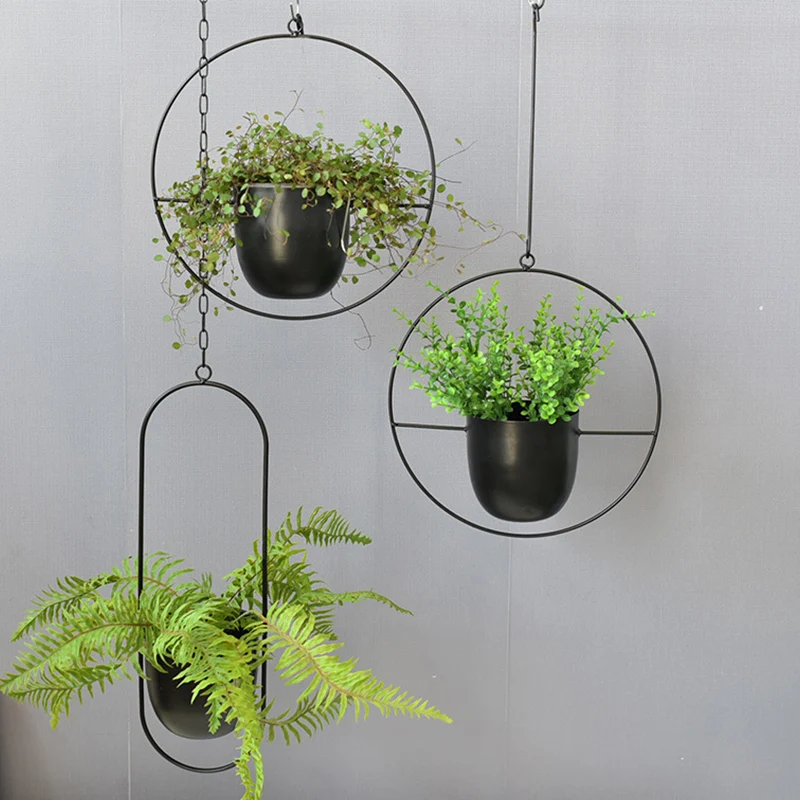 Wrought Iron Hanging Planter E - Spider Plant Hanging reseña y precio