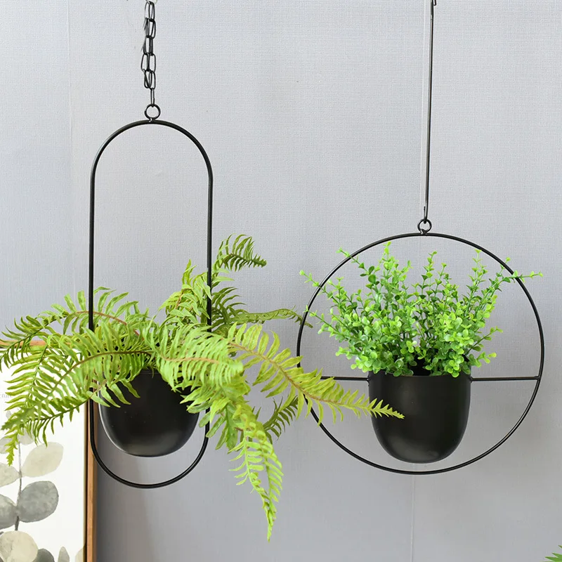 Wrought Iron Hanging Planter E - Spider Plant Hanging reseña y precio