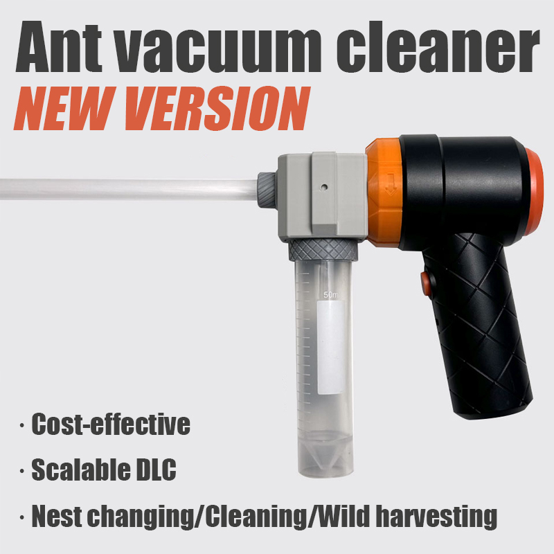 Ant Farm Collection Tool Ants  - Begonia Rex reseña y precio
