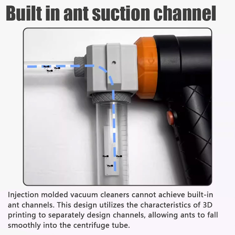 Ant Farm Collection Tool Ants  - Begonia Rex reseña y precio