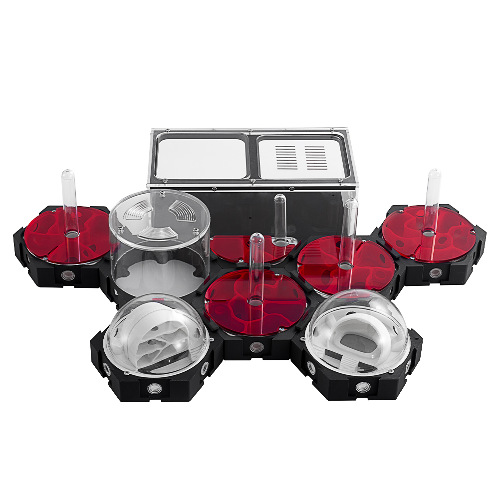 3D Printing Ant Farm Infinitel - Begonia Rex reseña y precio