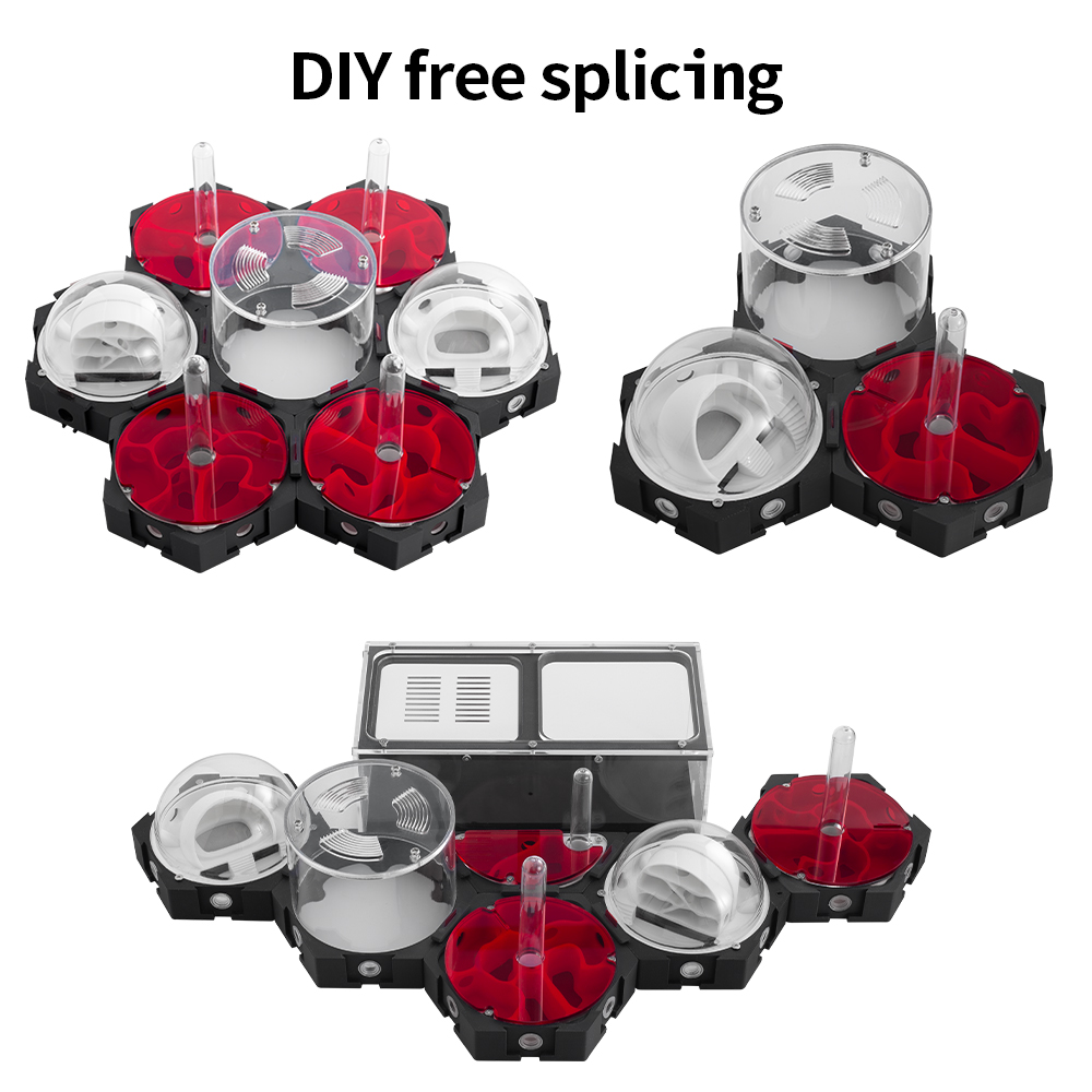 3D Printing Ant Farm Infinitel - Begonia Rex reseña y precio