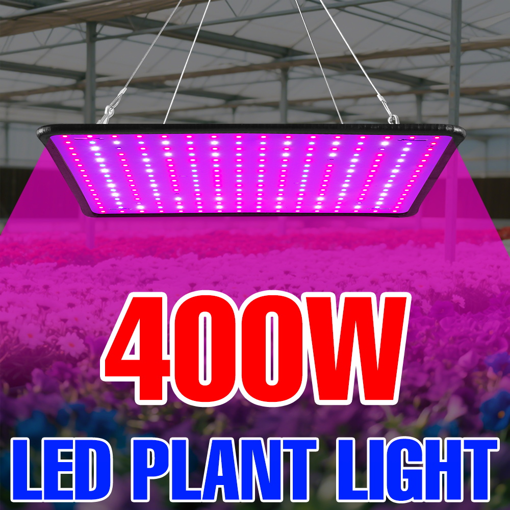 400W LED Grow Light Full Spect - Echeveria Succulent reseña y precio