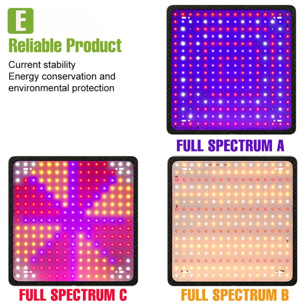 400W LED Grow Light Full Spect - Echeveria Succulent reseña y precio