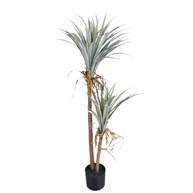 Dragon Blood Yucca Artificial  - Dracaena Marginata reseña y precio