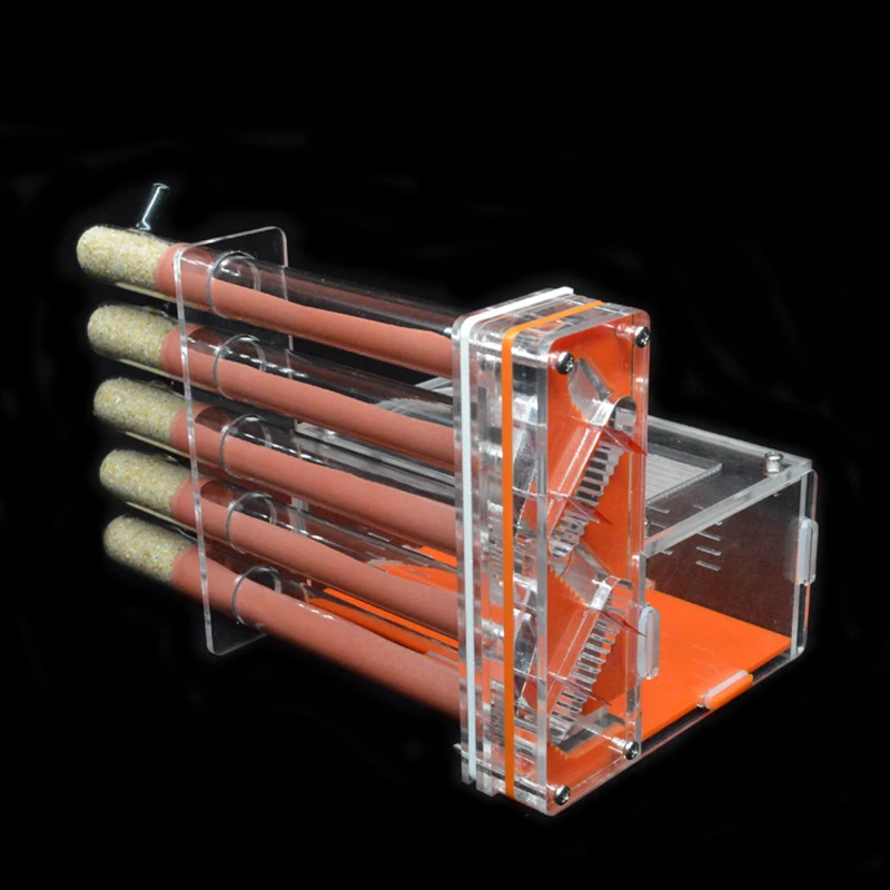 DIY Acrylic Ant Farm 5 pcs 18- - Begonia Rex reseña y precio