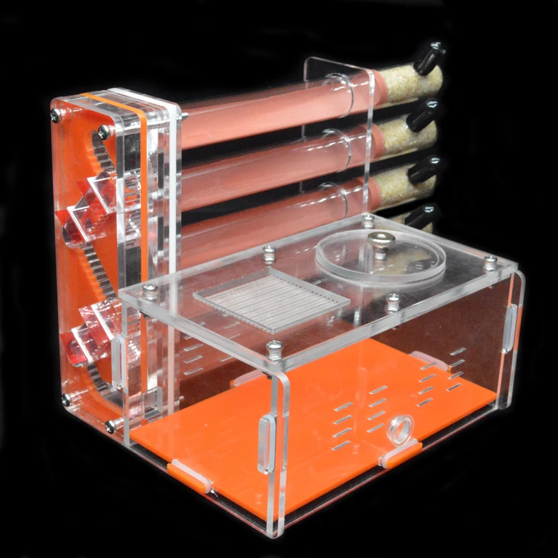 DIY Acrylic Ant Farm 5 pcs 18- - Begonia Rex reseña y precio
