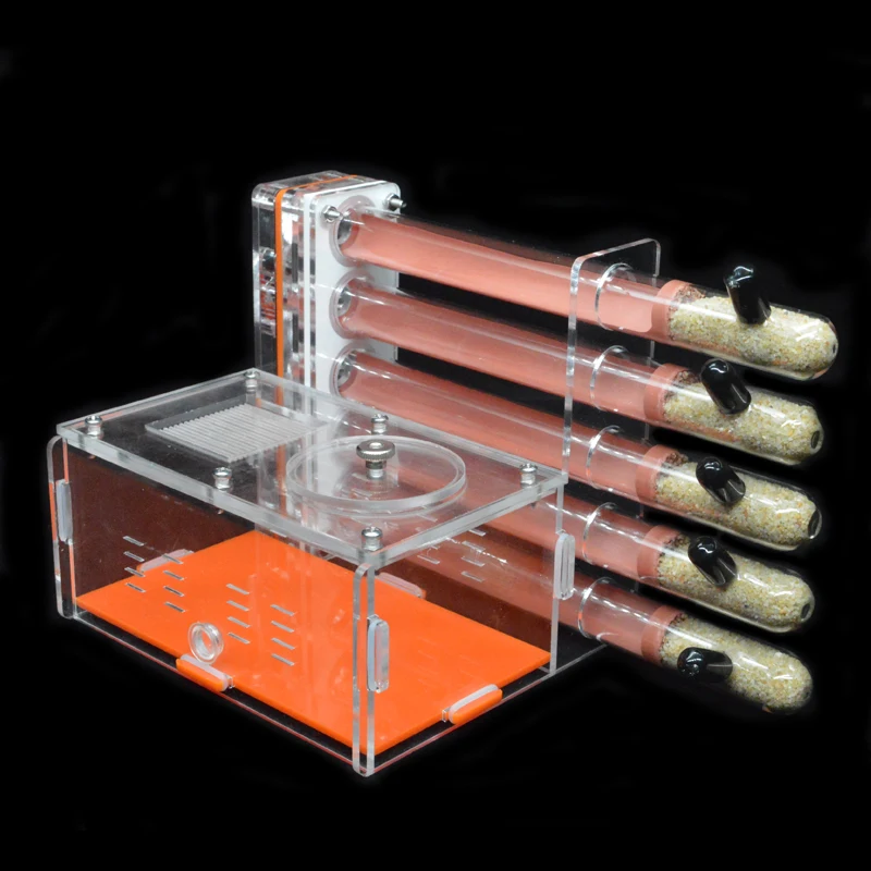 DIY Acrylic Ant Farm 5 pcs 18- - Begonia Rex reseña y precio