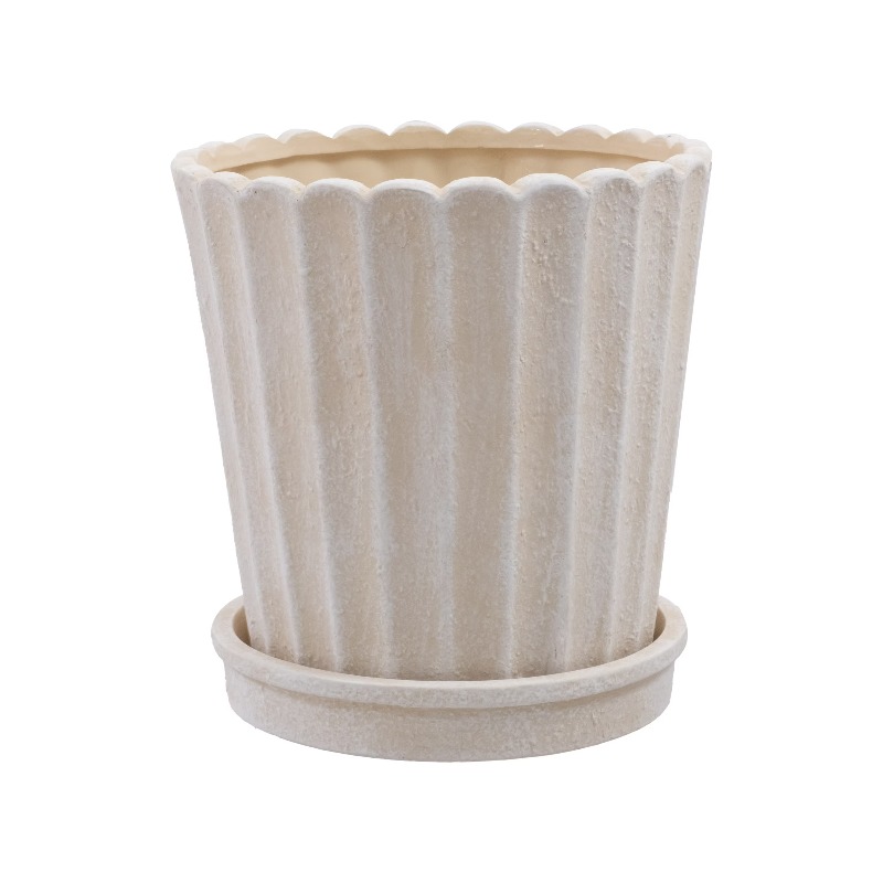 8 Inch Shell Planter Cream Cer - Aloe Vera Pot reseña y precio