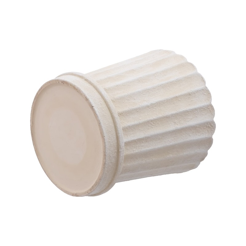 8 Inch Shell Planter Cream Cer - Aloe Vera Pot reseña y precio