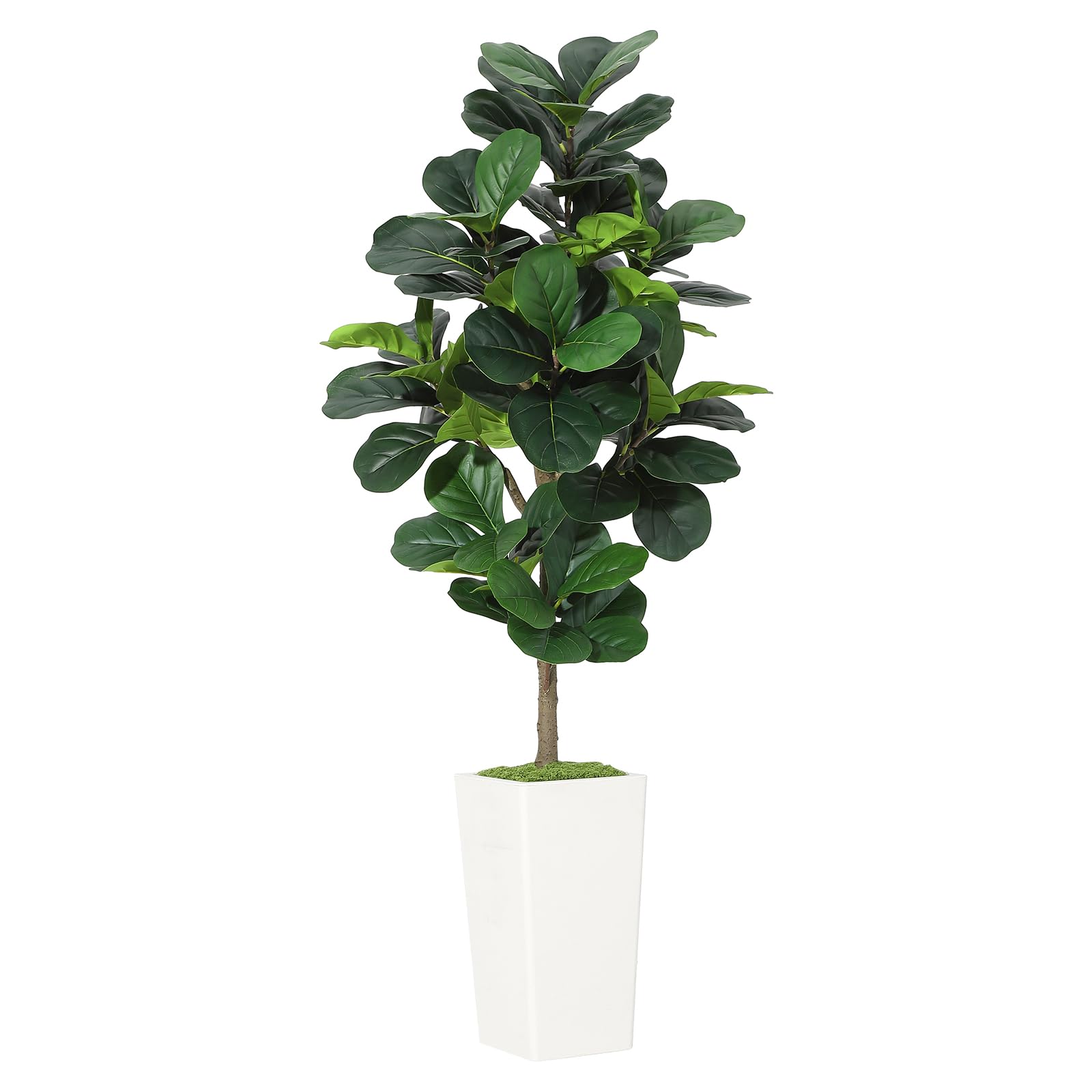 Artificial Fiddle Leaf Fig Tre - Ficus Lyrata Tree reseña y precio