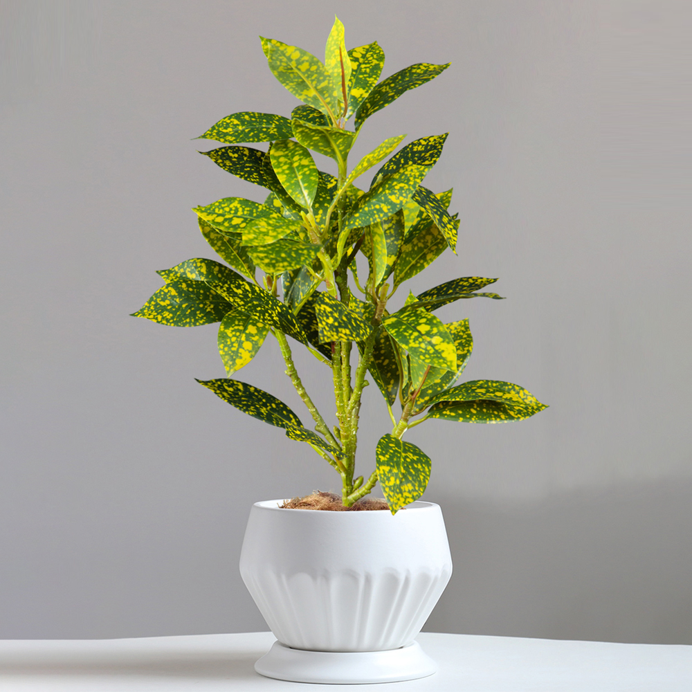 24-41cm Artificial Ficus Tree  - Ficus Lyrata Tree reseña y precio