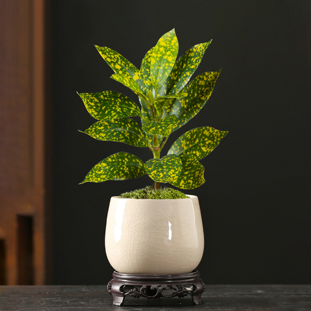 24-41cm Artificial Ficus Tree  - Ficus Lyrata Tree reseña y precio