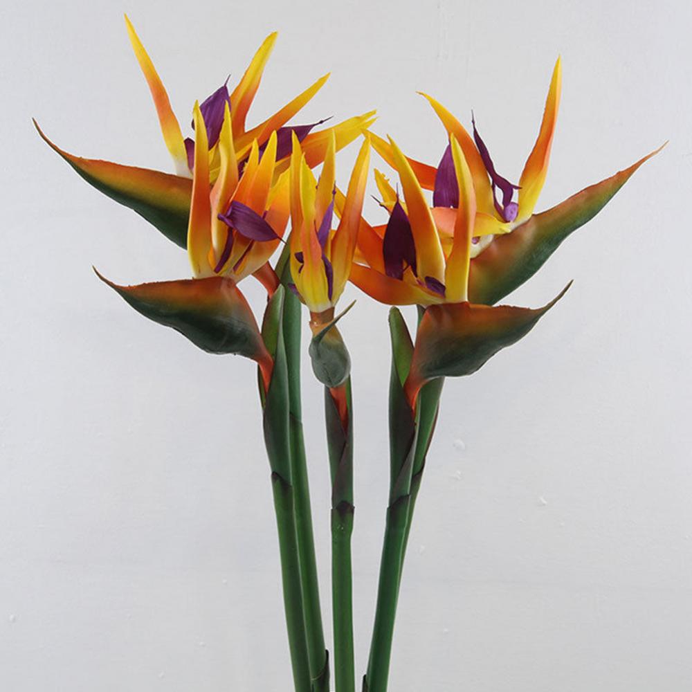 1pc 80cm Flower Bird Of Paradi - Bird Paradise Strelitzia reseña y precio