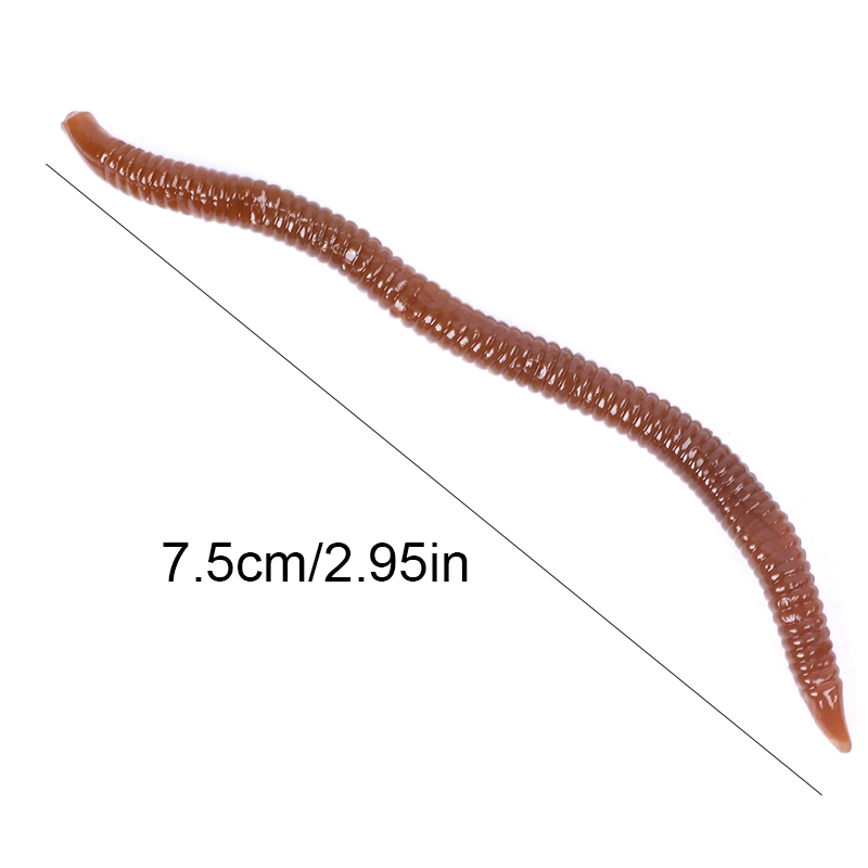 NGB  Lifelike Red Worm 7.5CM 1 - Aglaonema Red reseña y precio