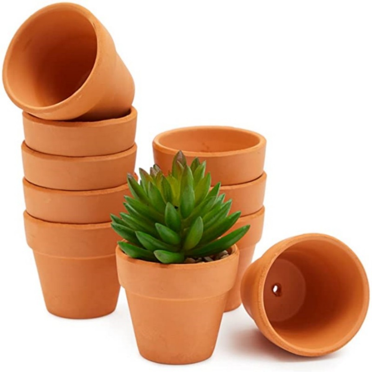 16 Pcs 1.8'' Terra Cotta Pots  - Echeveria Succulent reseña y precio