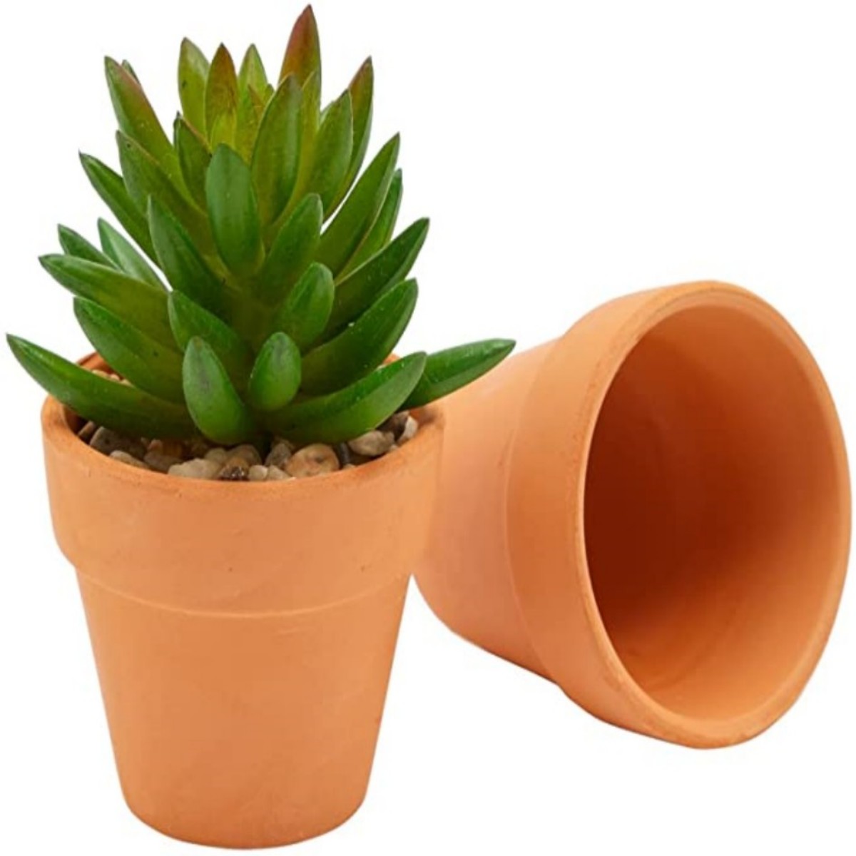 16 Pcs 1.8'' Terra Cotta Pots  - Echeveria Succulent reseña y precio