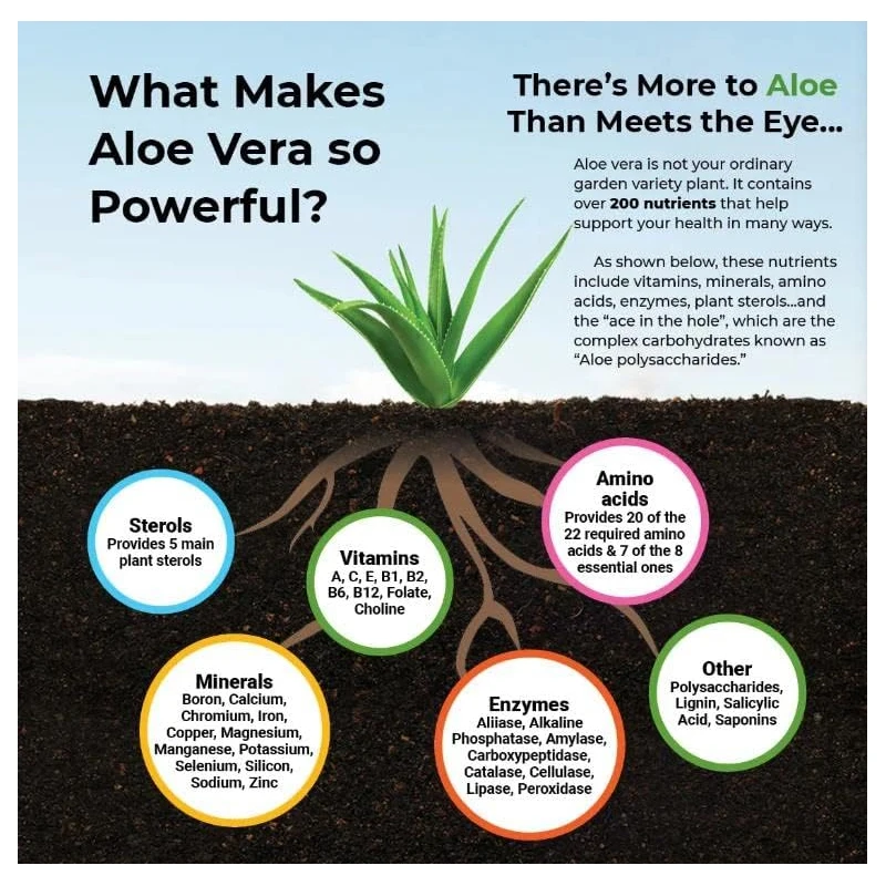 Aloe Vera Capsules - Help Prom - Aloe Vera Pot reseña y precio