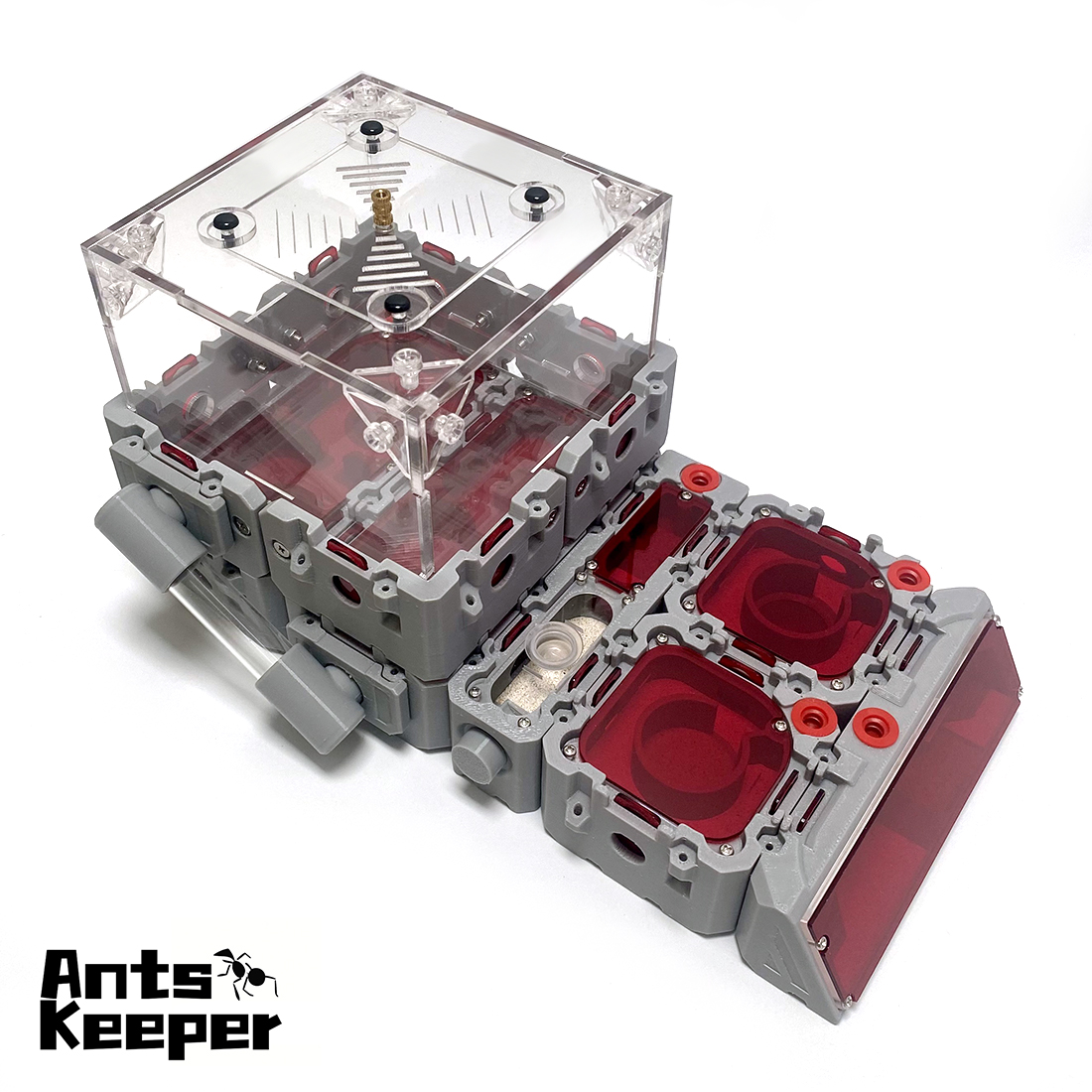 【Lego】Expandable Modular Formi - Begonia Rex reseña y precio