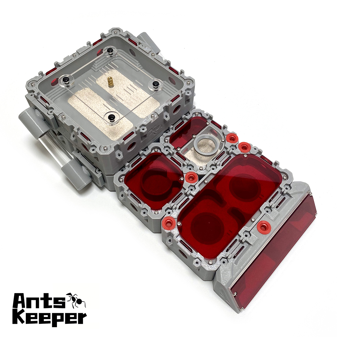 【Lego】Expandable Modular Formi - Begonia Rex reseña y precio