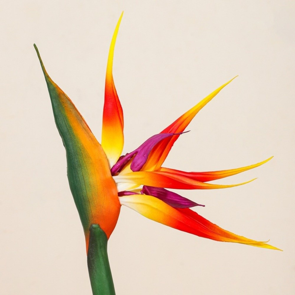 New Long Stem Artificial Bird  - Bird Paradise Strelitzia reseña y precio
