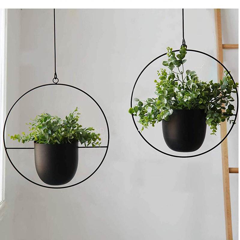 Hanging Iron Art Plant Pots Ba - Spider Plant Hanging reseña y precio