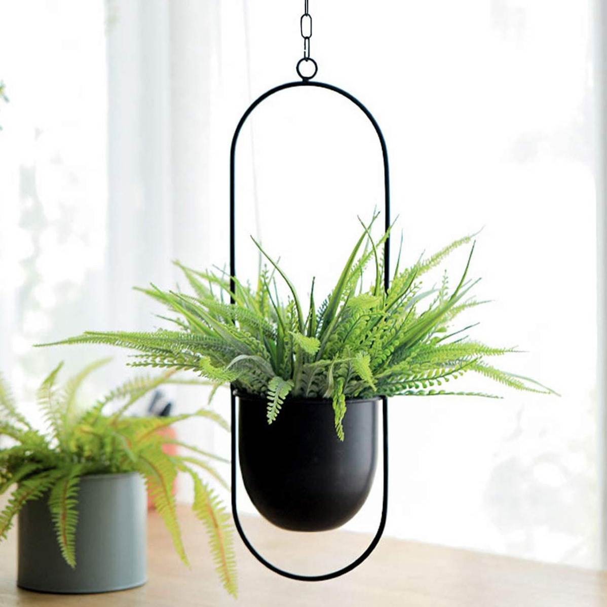 Hanging Iron Art Plant Pots Ba - Spider Plant Hanging reseña y precio