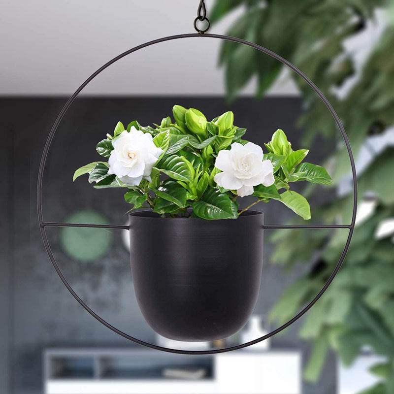 Hanging Iron Art Plant Pots Ba - Spider Plant Hanging reseña y precio