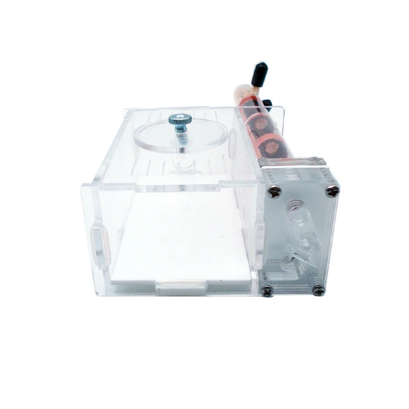 DIY Ant Farm 2 pcs 18-180mm Gy - Begonia Rex reseña y precio