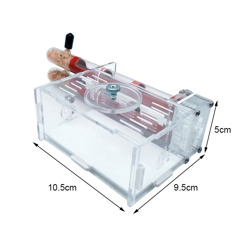 DIY Ant Farm 2 pcs 18-180mm Gy - Begonia Rex reseña y precio