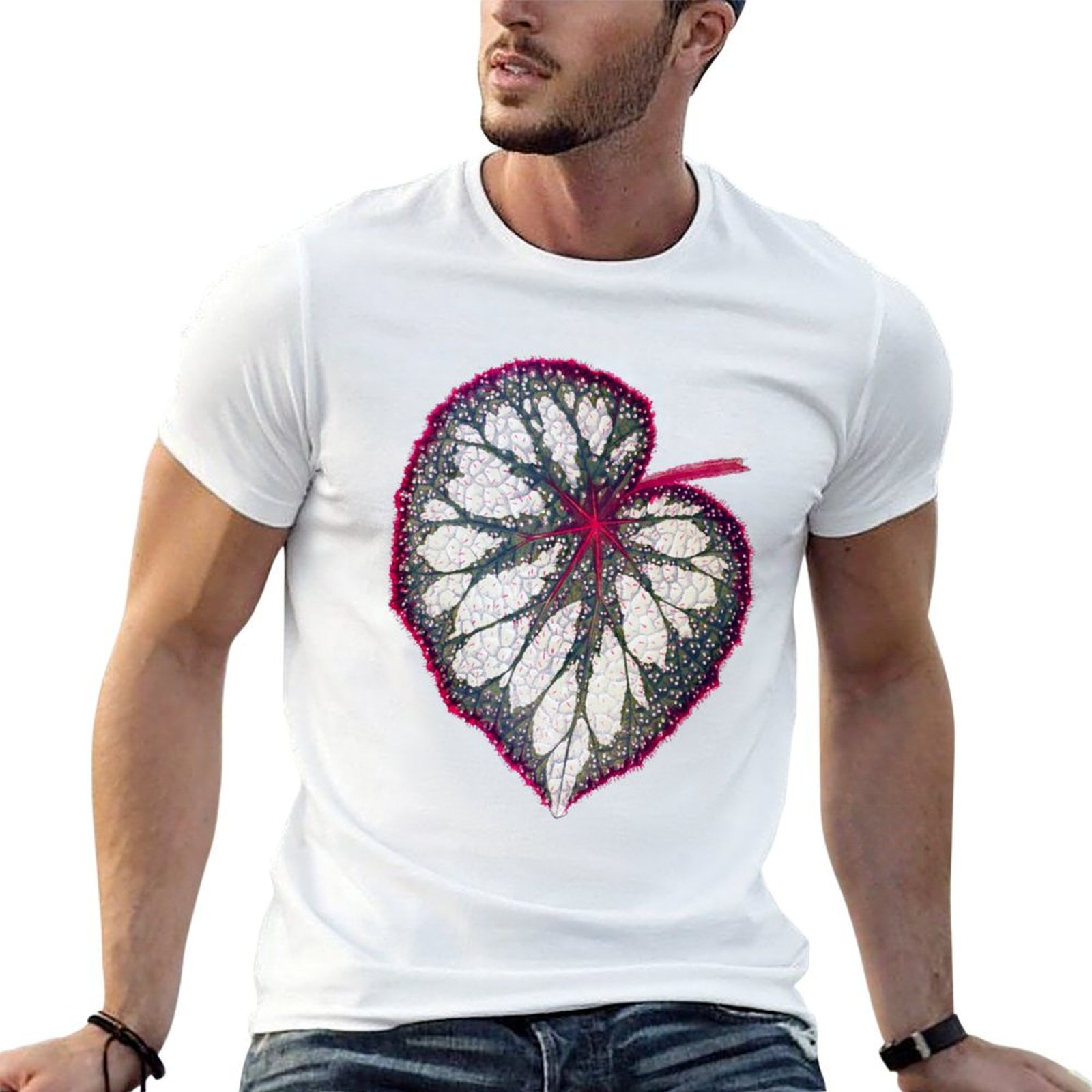 Begonia rex T-Shirt man graphi - Begonia Rex reseña y precio