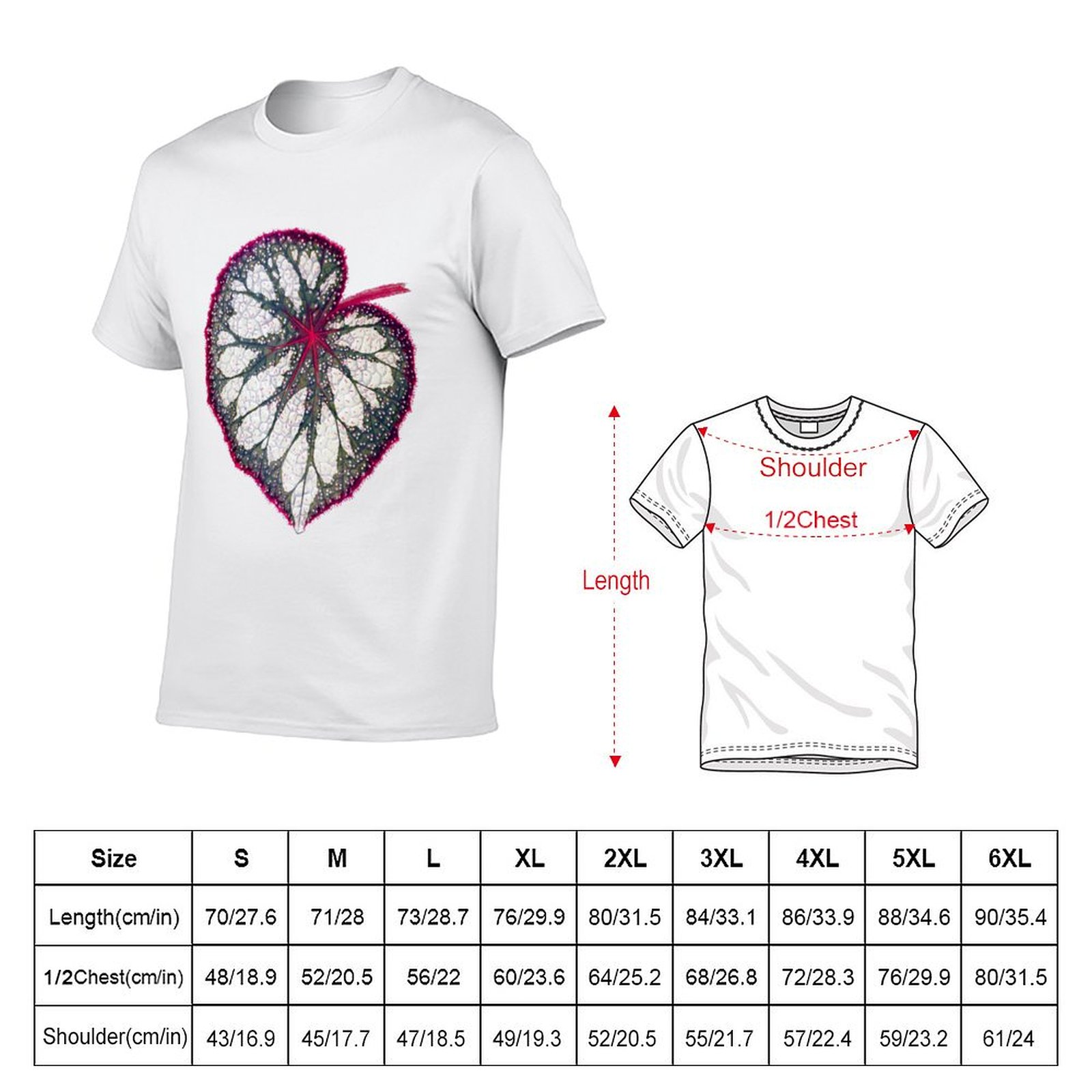 Begonia rex T-Shirt man graphi - Begonia Rex reseña y precio