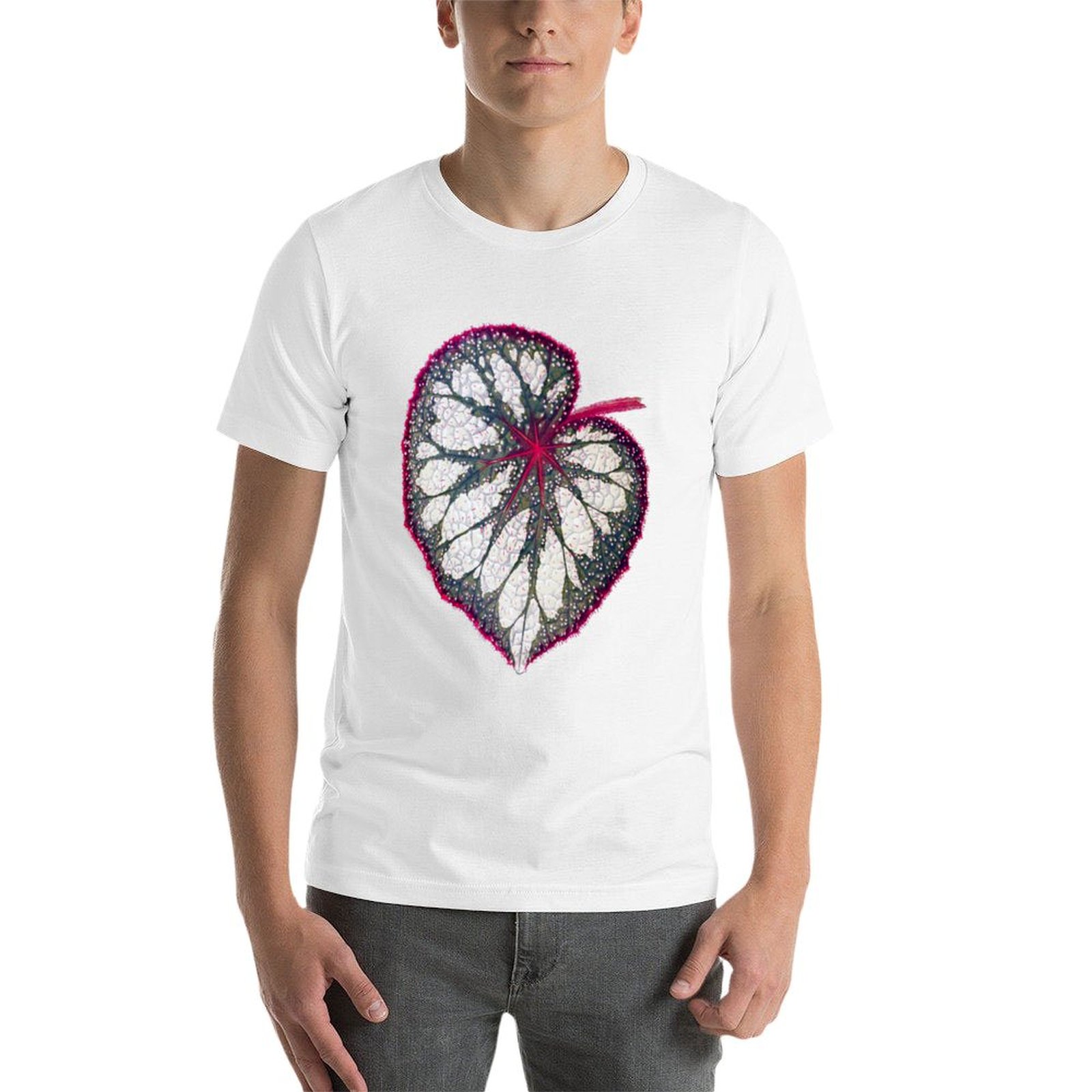 Begonia rex T-Shirt man graphi - Begonia Rex reseña y precio