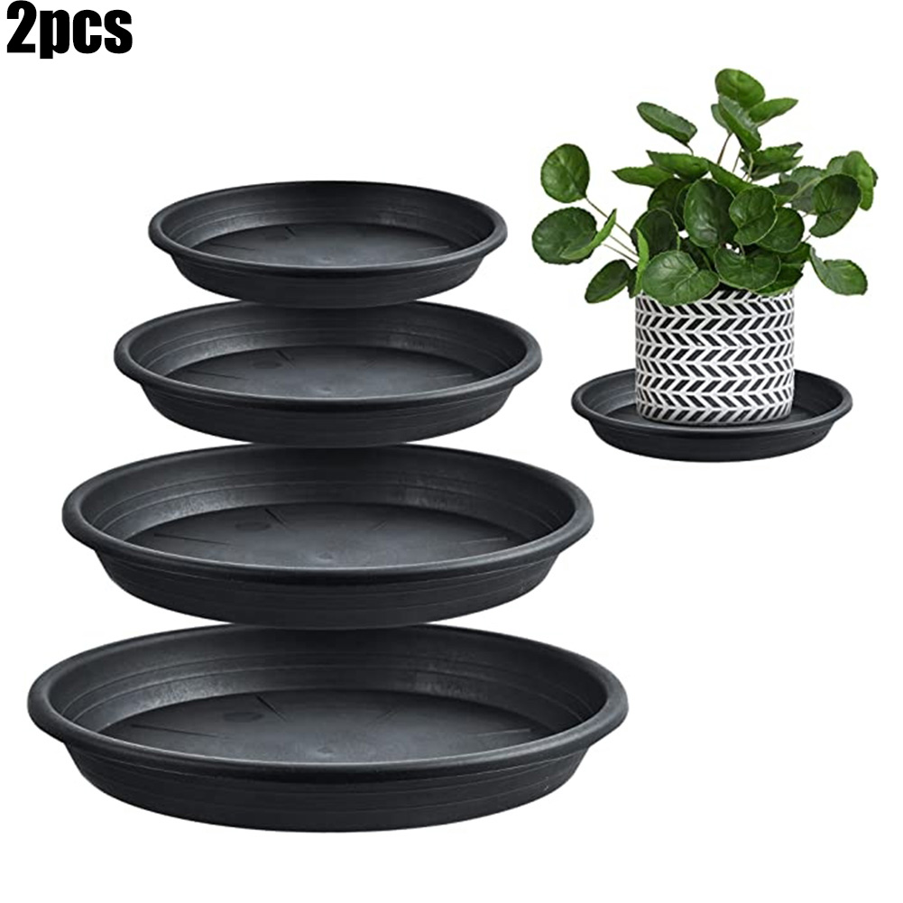 2pcs Plant Trays Round Succule - Echeveria Succulent reseña y precio