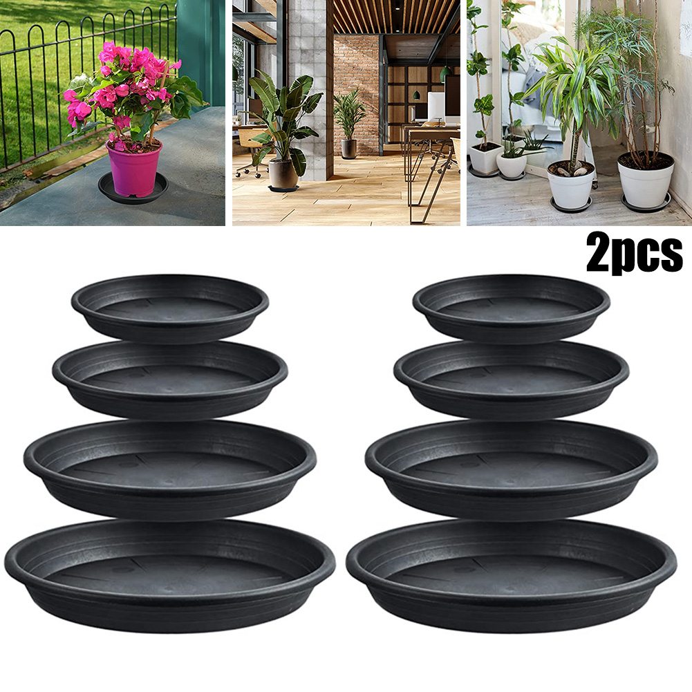 2pcs Plant Trays Round Succule - Echeveria Succulent reseña y precio