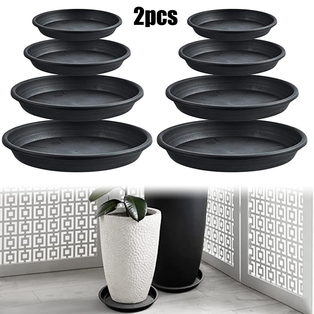 2pcs Plant Trays Round Succule - Echeveria Succulent reseña y precio