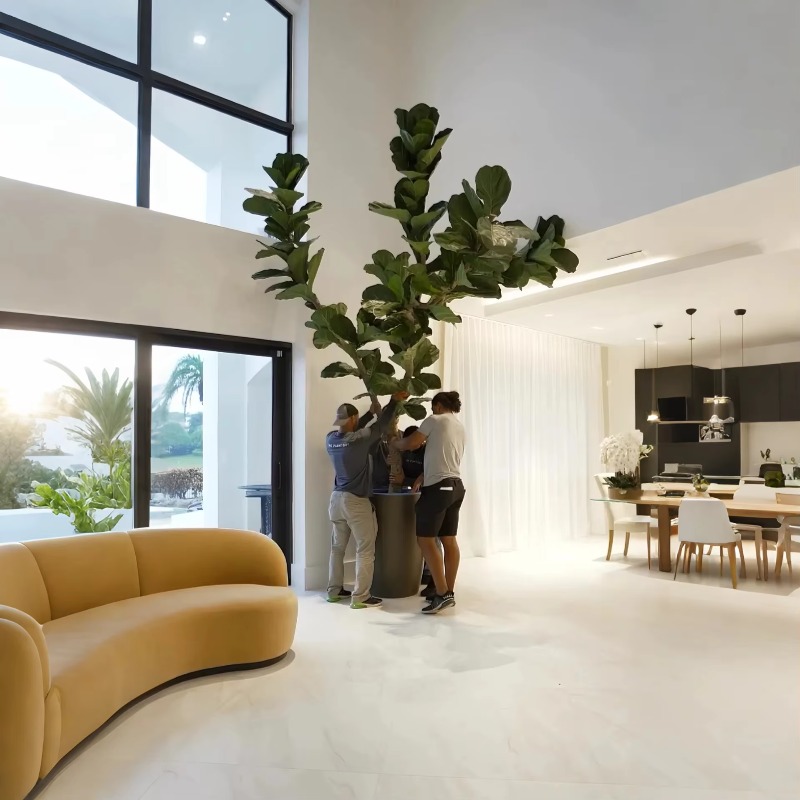 Artificial Plants Indoor Potte - Ficus Lyrata Tree reseña y precio