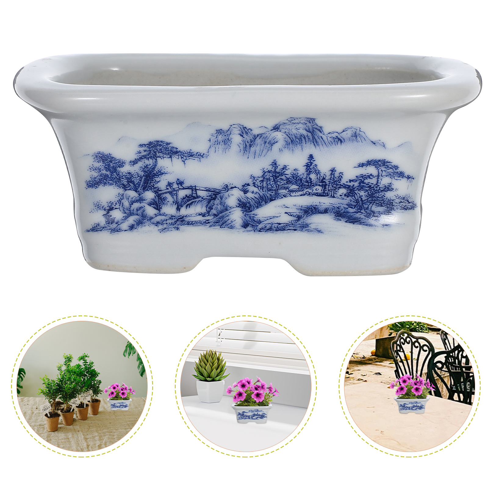 Small Ceramic Plant Pots Plant - Pilea Peperomioides reseña y precio