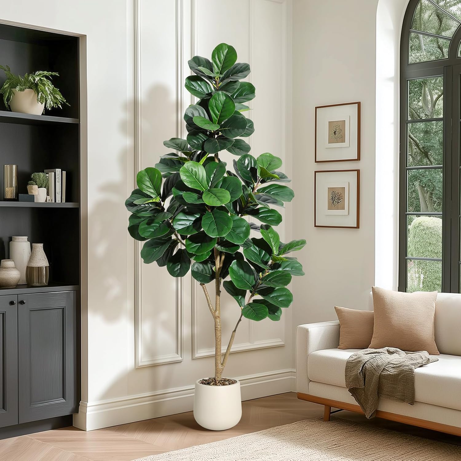 4-7 FT Fiddle Leaf Fig Tree Ar - Ficus Lyrata Tree reseña y precio